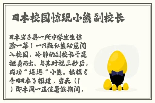 速播免费怎么看